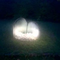 Rev{o,e}l{u,a}tions series, 2018