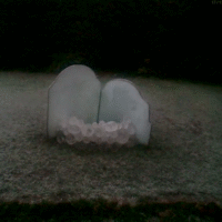 Rev{o,e}l{u,a}tions series, 2018